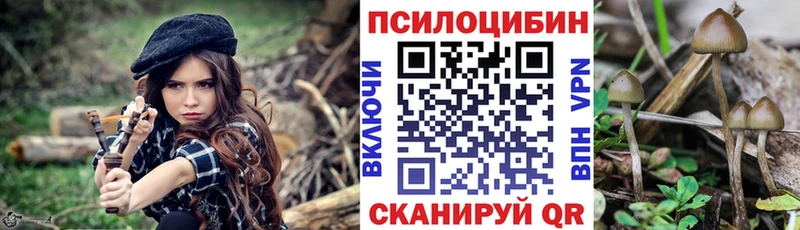 Псилоцибиновые грибы ЛСД  Шимановск 